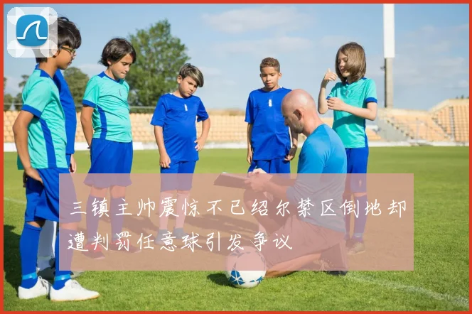 三镇主帅震惊不已绍尔禁区倒地却遭判罚任意球引发争议