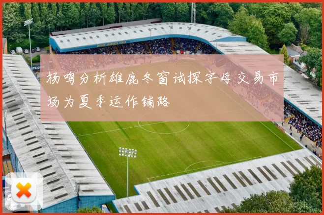 杨鸣分析雄鹿冬窗试探字母交易市场为夏季运作铺路